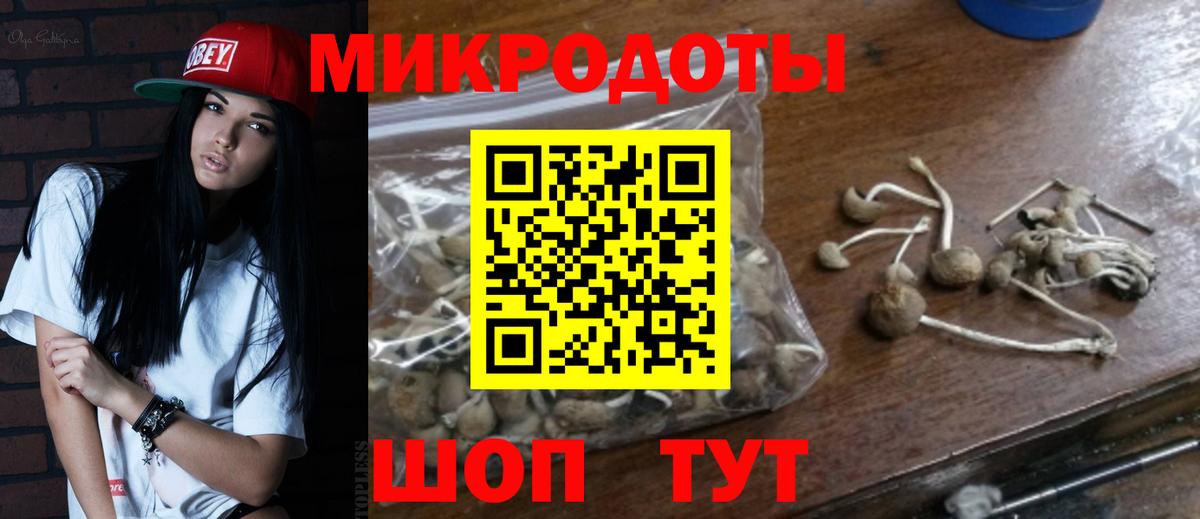 Уссурийск  Галлюциногенные грибы мухоморы  Галлюциногенные грибы GOLDEN TEACHER  Вход с VPN 